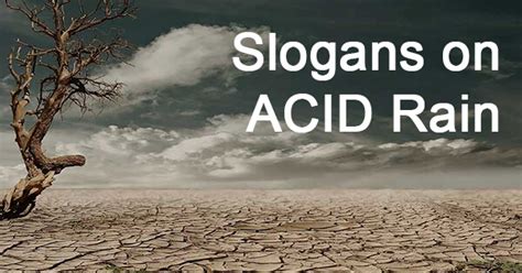 List Of 200 Best Acid Rain Slogans🐺 Mergulhe Na Adrenalina Das Apostas