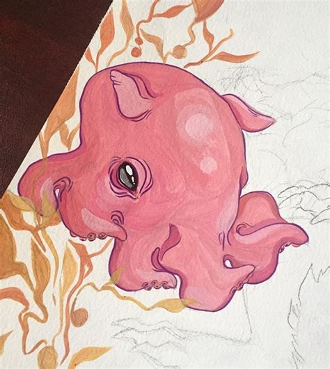 Cartoon Drawing Dumbo Octopus