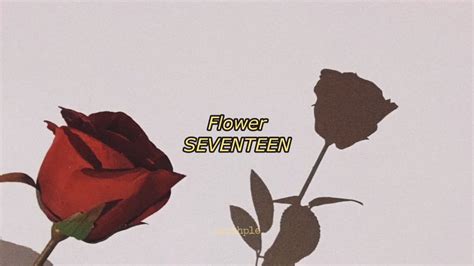 Seventeen Flower English Lyrics YouTube