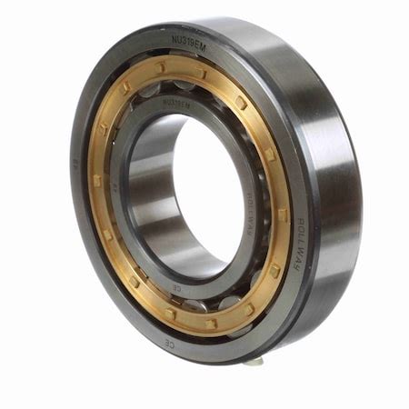 Rollway Bearing Cylindrical Bearing Caged Roller Straight Bore