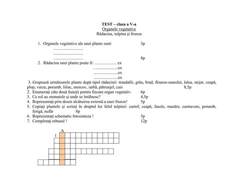 Test Clasa A V Adocx