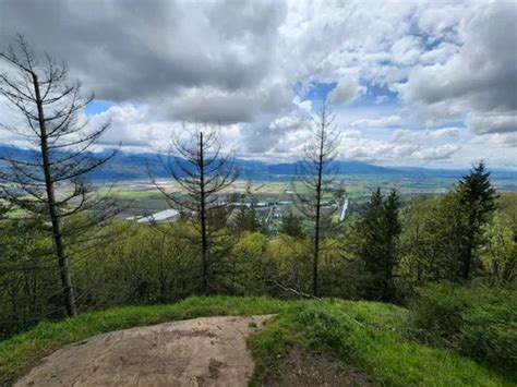 10 Best Hikes and Trails in Sumas Mountain Regional Park | AllTrails