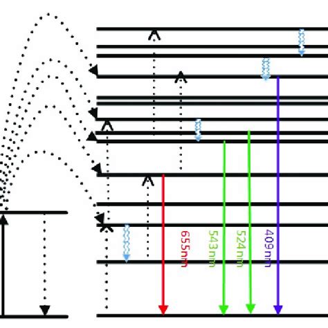 A Simplified Energy Level Diagram Of Er Yb System Doped With Au