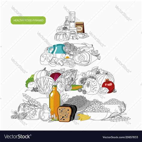 Food Pyramid Vector Sexiz Pix