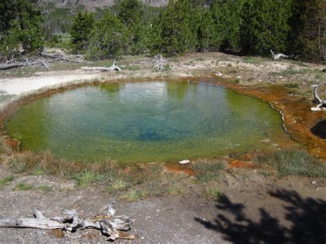 Sprite Pool Sprite Spring Late Morning June Flickr