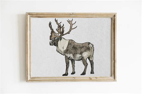 Caribou Drawing Digital Download Print in 5 Sizes - Etsy