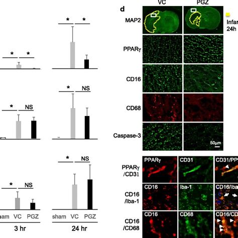 The Mrna Level Of Pro Inflammatory Cytokines And Representative