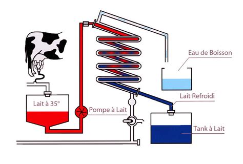 Économies d énergie dans les salles de traite bovin Électricité