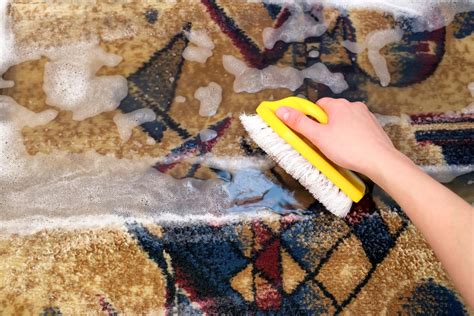 How to Remove Odor from Carpet - Home Quicks