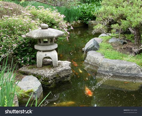 Japanese Garden Koi Pond Stock Photo 55612834 : Shutterstock