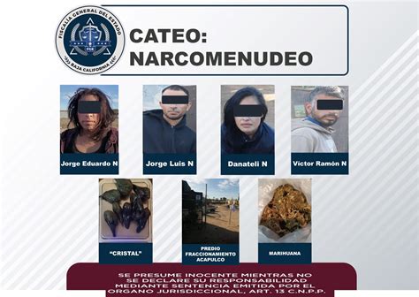 Aseguran narcóticos un predio y cuatro personas tras cateo en Ensenada