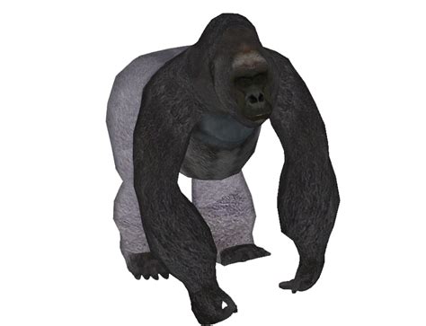 Gorilla Sculpture Fur Terrestrial Animal Gorilla Png Download 870