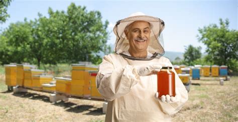 Le Mat Riel Apicole Essentiel Pour D Buter En Apiculture Paroles De