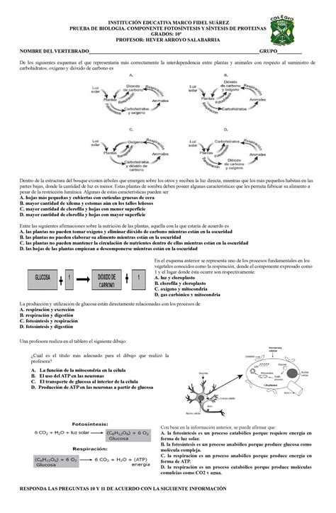 Examen Metabolismo Fotosintesis 2021 INSTITUCIÓN EDUCATIVA MARCO