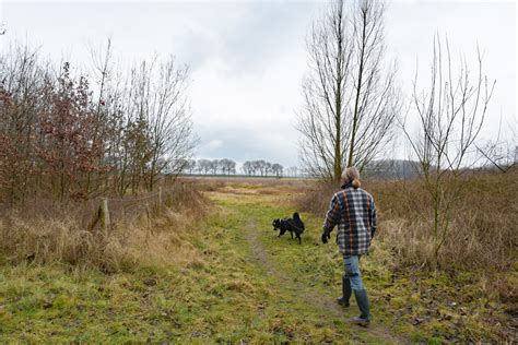 Op Deze Plekken Krijgt Zeeland Er 32 Hectare Bos Bij Foto Pzcnl