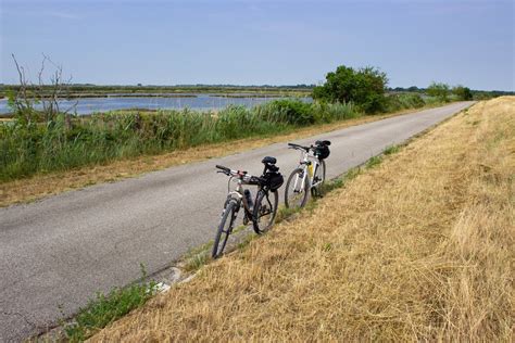 La Ciclovia VenTo Parte Dal Delta Del Po Al Via I Lavori Per Il Tratto