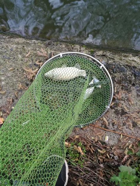 要做一個有釣品的釣魚人，不做令人厭惡的釣魚佬！ 每日頭條