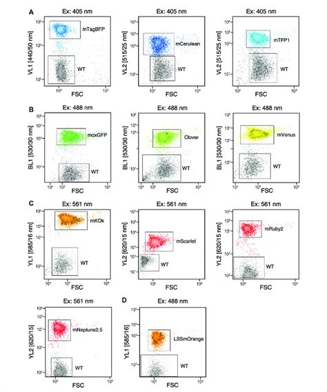 Flow cytometry of fluorophores expressed in C. reinhardtii that can be ...