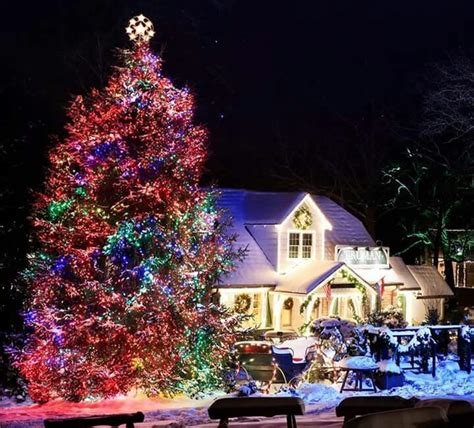 A Lit Christmas Tree In Front Of A House