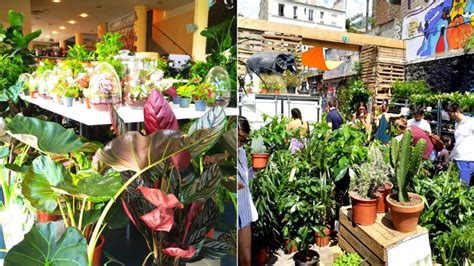 Une Grande Vente De Plantes D Barque Beaugrenelle Paris Secret