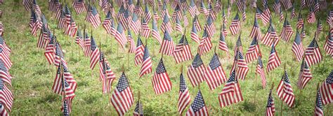 Banderas Americanas De La Visi N Panor Mica En Un Campo Verde Que