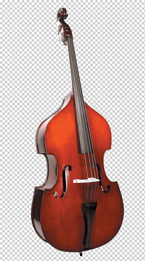 Contrabajo Guitarra Bajo Viol N Violonchelo Violeta Bajo Arco