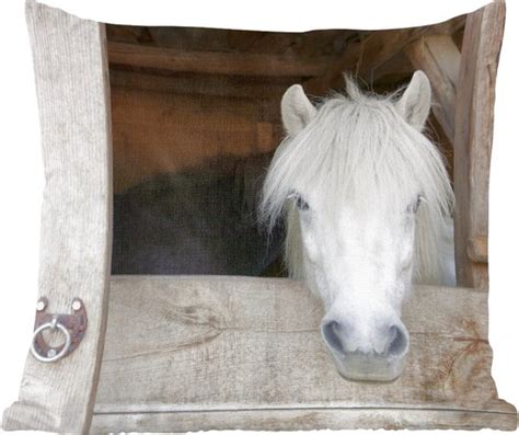 Sierkussen Paard Paardenstal Planken Bruin Cm X Cm Bol