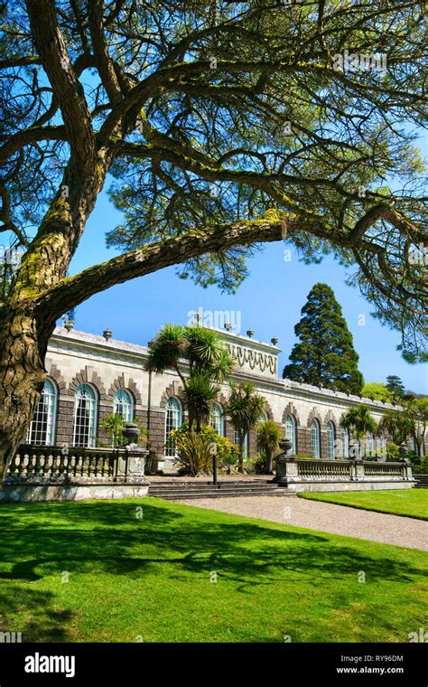 The Orangery Margam Park Port Talbot Wales Uk Stock Photo Alamy