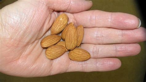 Sorprendentes Beneficios Para La Salud De Comer Un Puñado De Almendras Todos Los Días Salud