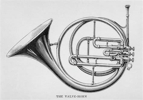 French Horn Sketch at PaintingValley.com | Explore collection of French ...