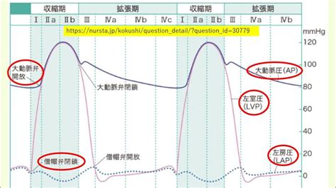 ・事実から考え・学び合う！（第256回）：心周期に伴う心臓の変化：第112回看護師国家試験、午後問題026 Youtube