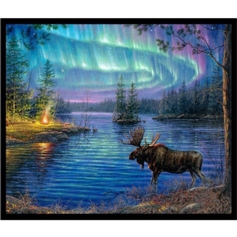 Cotton Fabric Northern Lights Moose Lake Aurora Borealis 4my3boyz