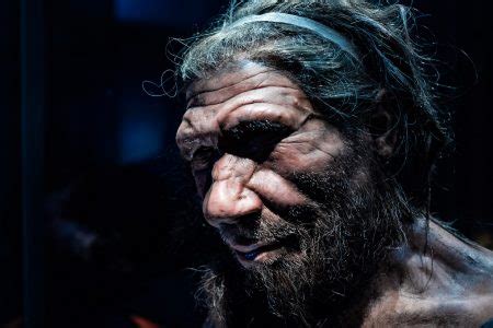 An Unknown Human Ancestor May Have Mated With Neanderthals And