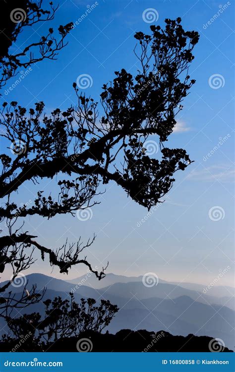 Mountain Scenery stock photo. Image of highlands, silhouette - 16800858