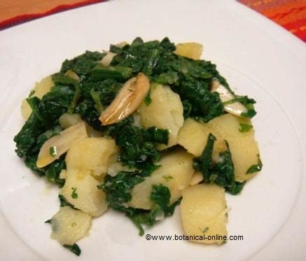 Receta De Espinacas Con Patatas Hervidas Botanical Online