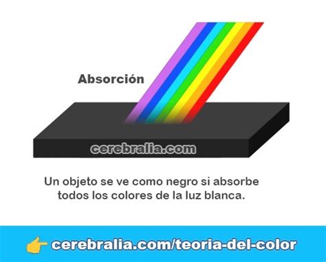 LOS COLORES DE LOS OBJETOS Absorción y reflexión