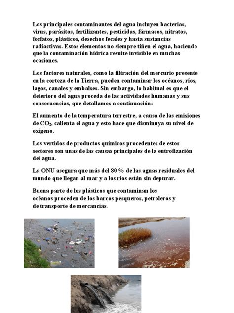 Los Principales Contaminantes Del Agua Incluyen Bacterias Pdf