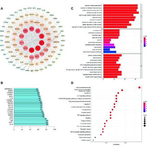 Ppi Network And Go And Kegg Enrichment Analysis A Ppi Network Of The
