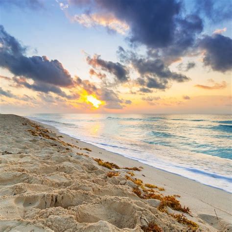 6 Maneras de Llegar del Aeropuerto de Cancún a Playa del Carmen Viva