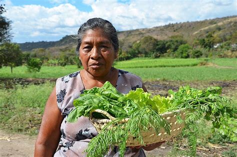 Descubre Todo Sobre La Agricultura En Colombia Y Mucho Más