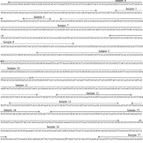 Predicted Secondary Structures Of The Putative TRNA Genes In D