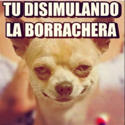 25 Imagenes Y Memes Chistosos Imagenes Chistosas