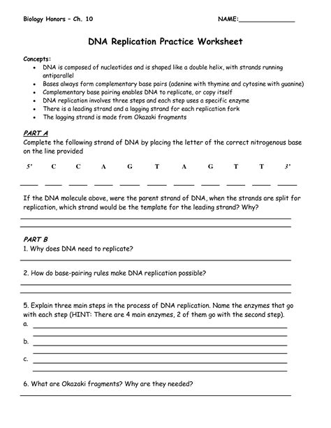 Dna Replication Activity Worksheets