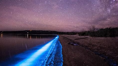 Bioluminescence Turns Australias Shores Bright Blue Cnn