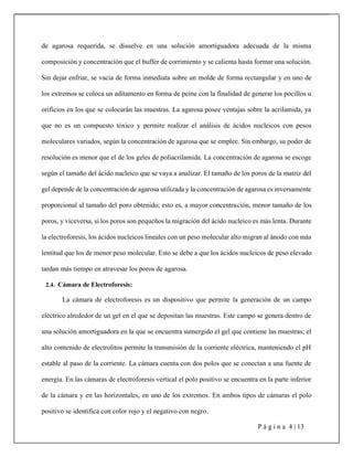 Reporte De Laboratorio Electroforesis Pdf