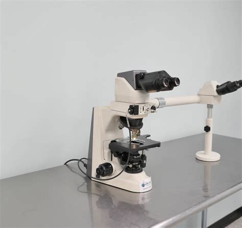 Nikon Eclipse 50i Microscope The Lab World Group