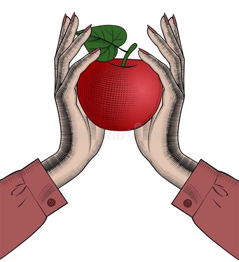 Women`s Hands Hold A Red Apple Stock Vector Illustration Of Hand