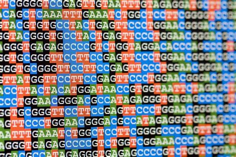 Dna E Genética Em 6 Marcos Como A Ciência Mudou O Presente E O Futuro