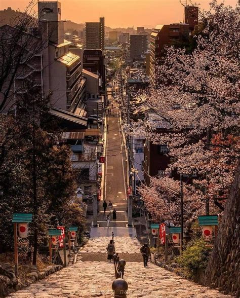 Shikoku Island, Japan 🇯🇵 : r/interestingasfuck