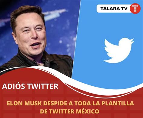 Talara TV NOTICIAS On Twitter Ahora ElonMusk Despide A Toda La